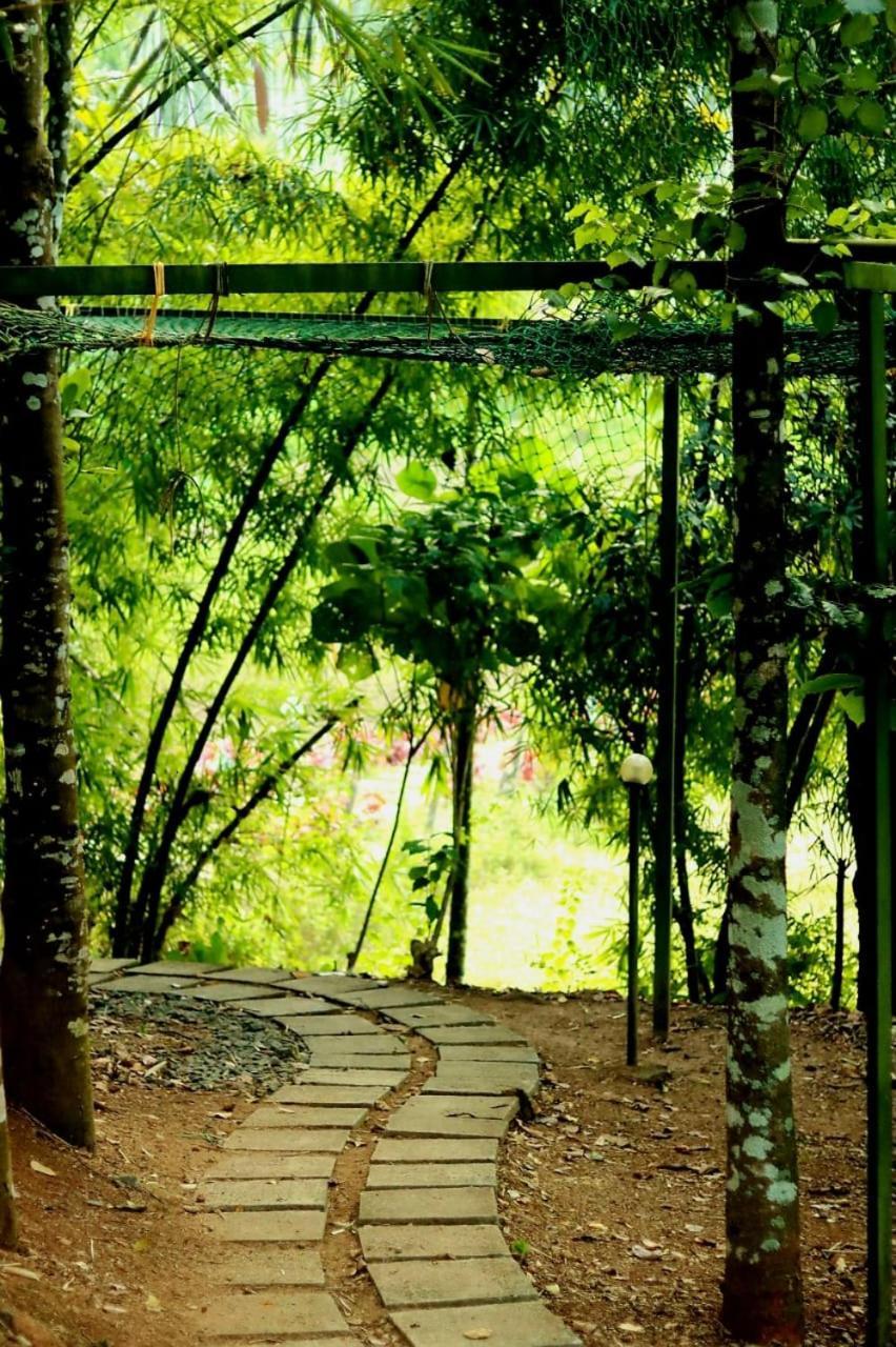 Ayurnest Pool Resort Wayanad Batheri エクステリア 写真