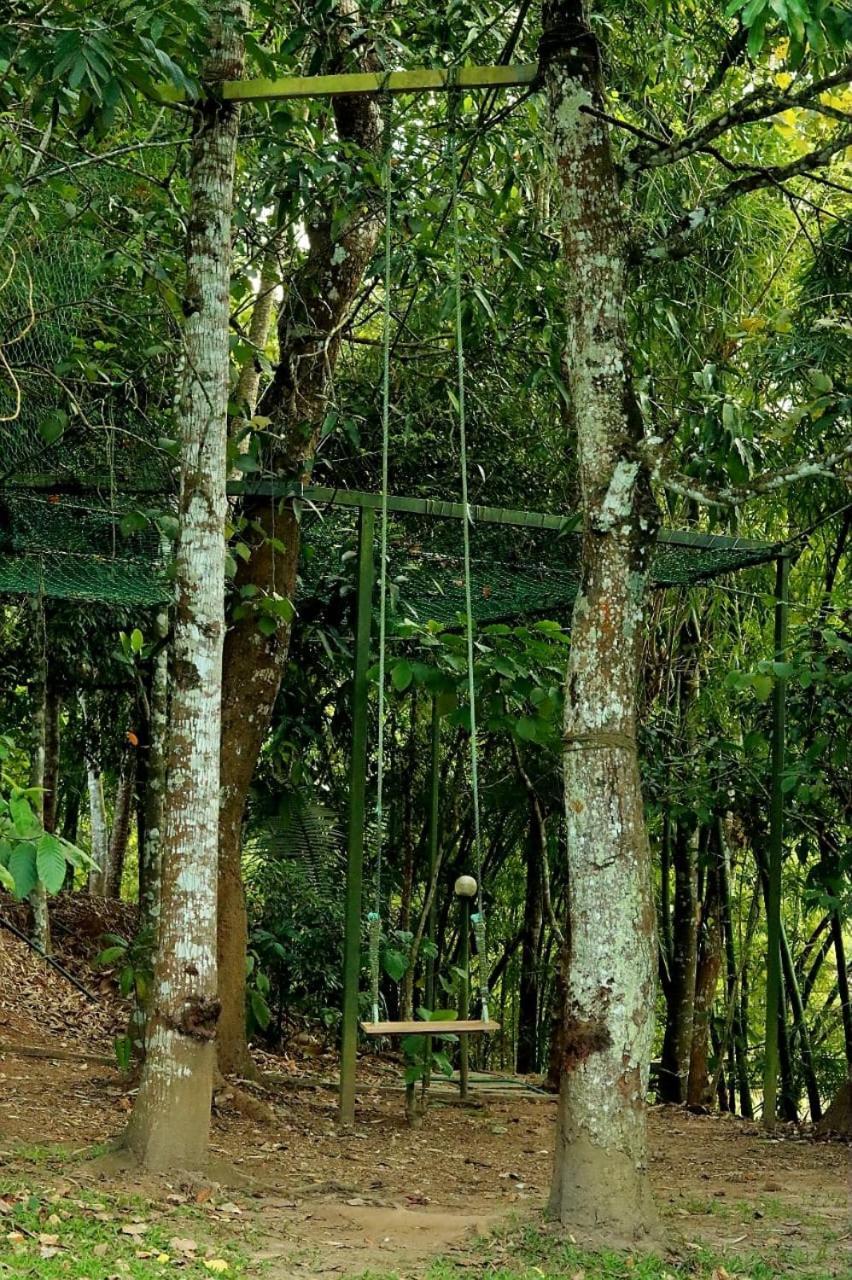 Ayurnest Pool Resort Wayanad Batheri エクステリア 写真
