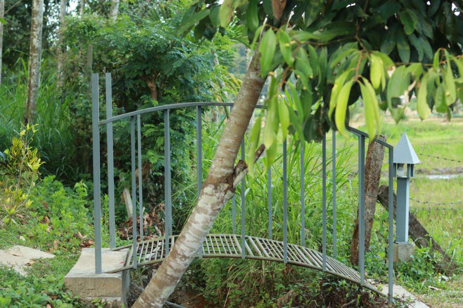 Ayurnest Pool Resort Wayanad Batheri エクステリア 写真